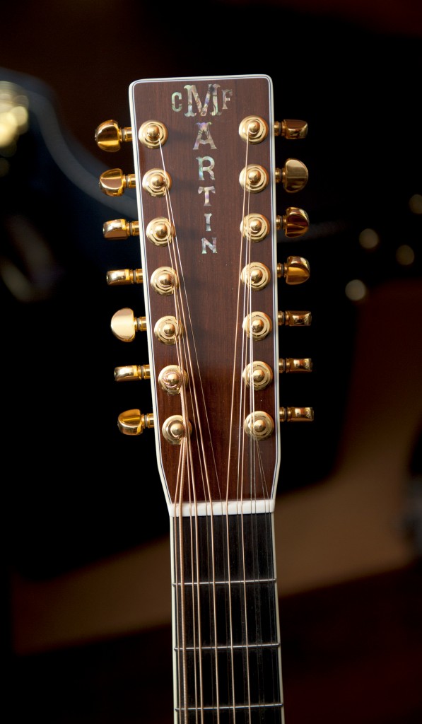 14 string acoustic headstock.jpeg